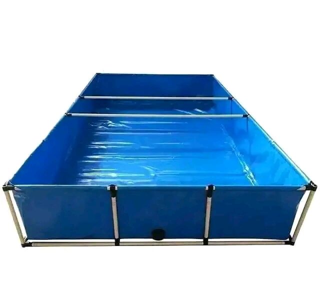 Bac hors sol pour élevage des poissons